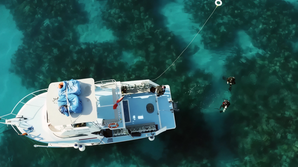 ФОТО: Кадр программы "Невероятно интересные истории", РЕН ТВ