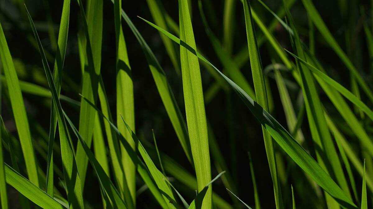    Фото: Анатолий Цымбалюк / Вечерняя Москва