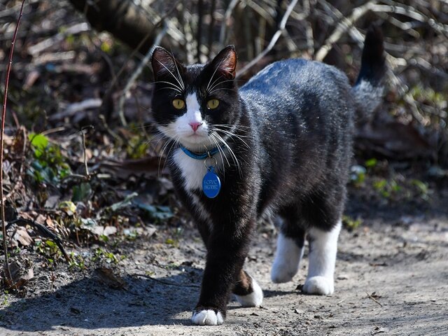    Фото: Москва 24/Антон Великжанин