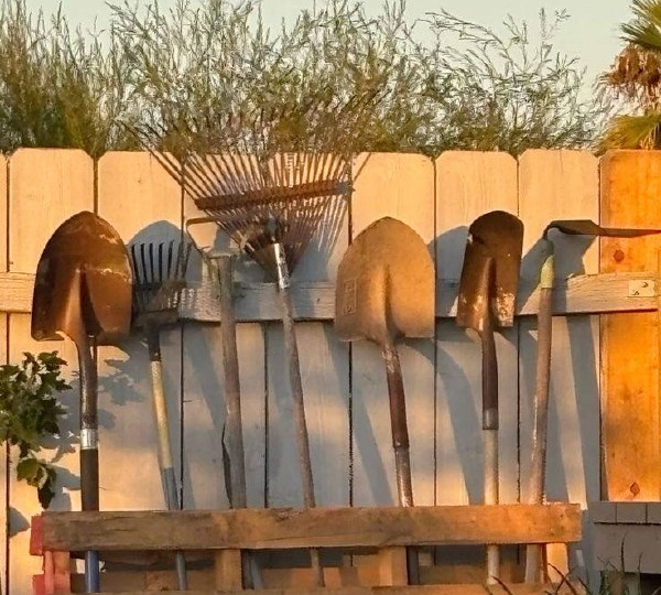 «Я приехал отдохнуть, а нашел семью