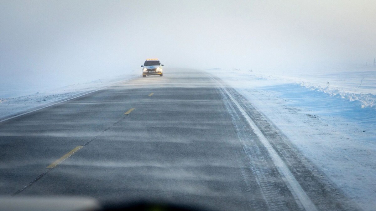    Фото: Федор Воронов / «Ямал-Медиа»