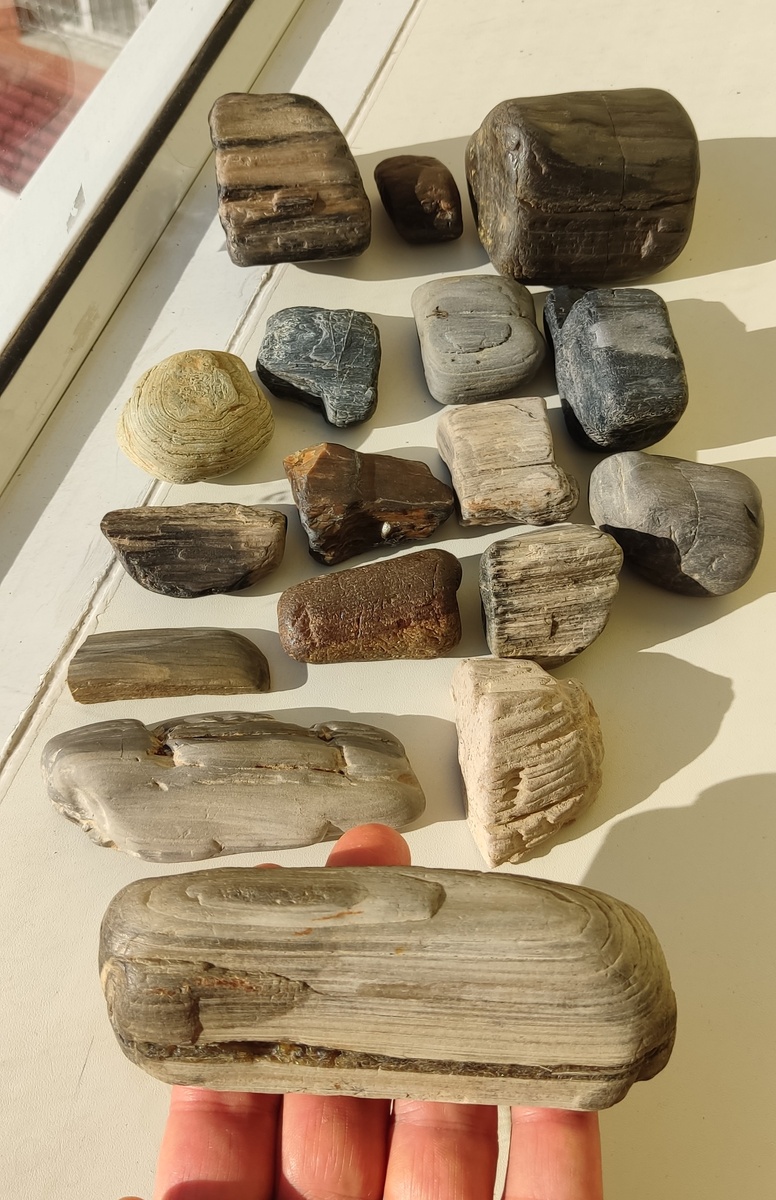 Находки за один поход