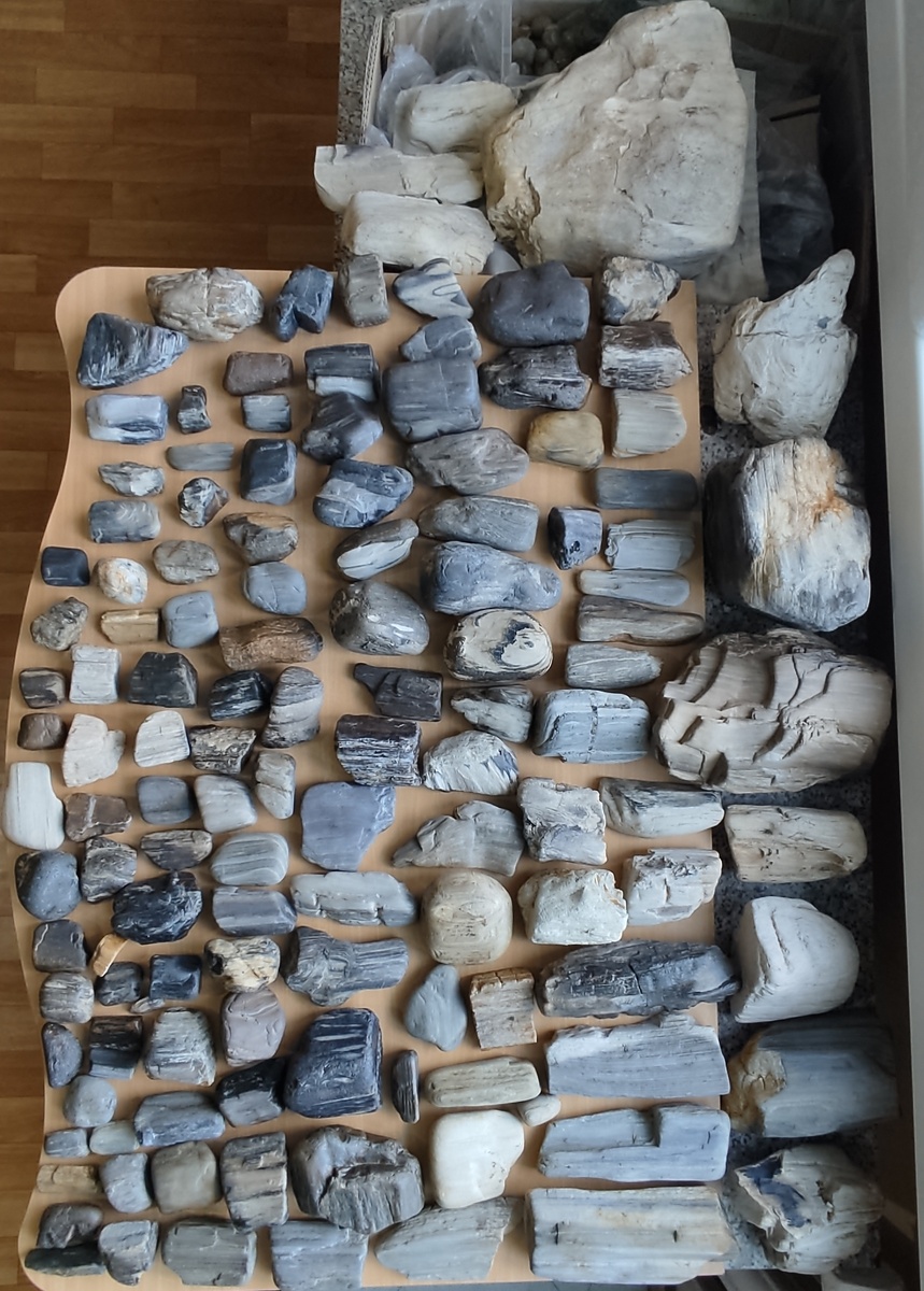 Находки за два сезона