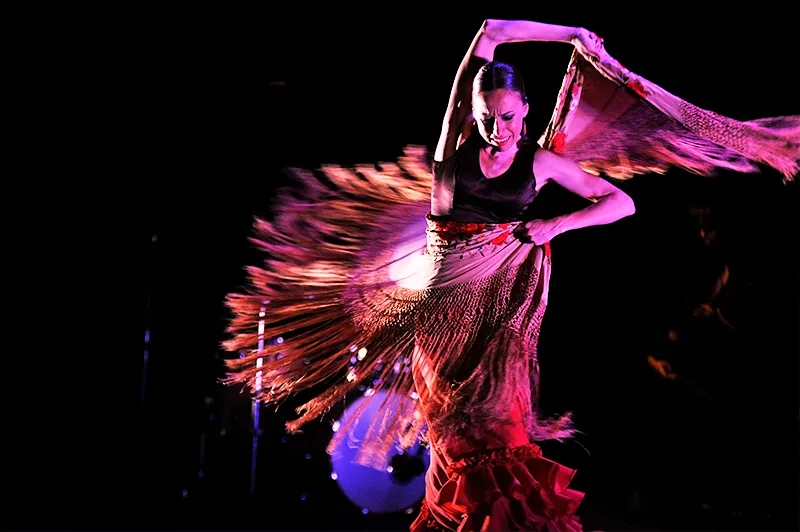 Ванеса Айбар, хореограф и режиссер Danza Mobile