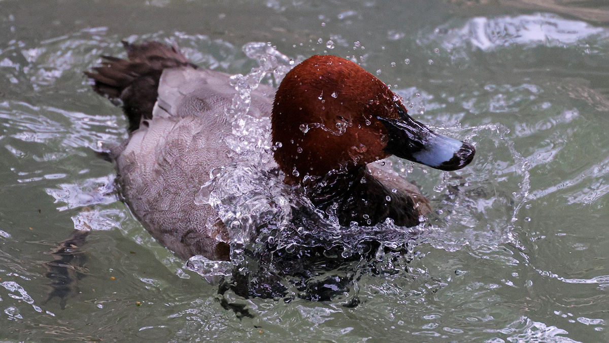   Эрик Романенко / ТАСС