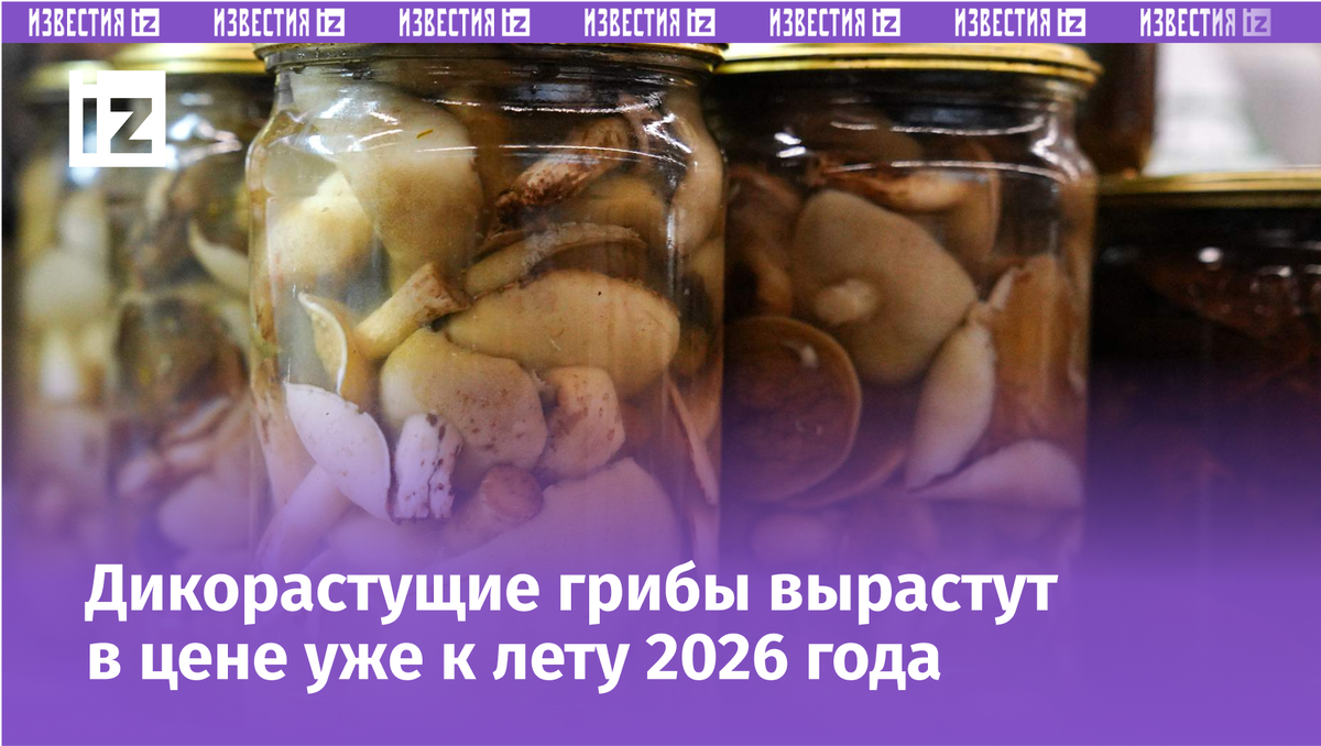 Фото: ИЗВЕСТИЯ/Анна Селина