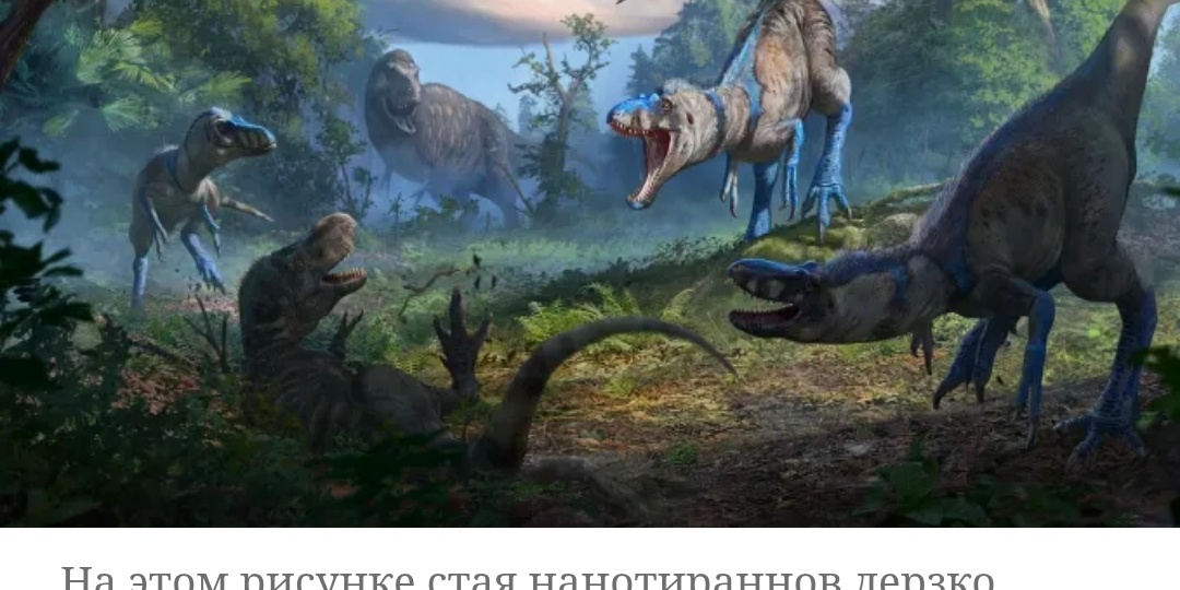 Разоблачение тираннозавра: учёные признали, что 80 лет ошибались. Правда, которую от вас скрывали