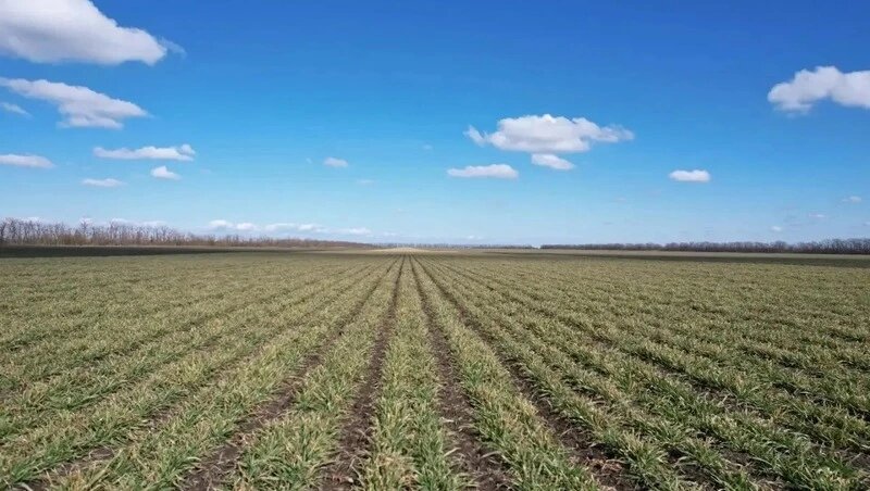      Фото: Администрация Кировского округа