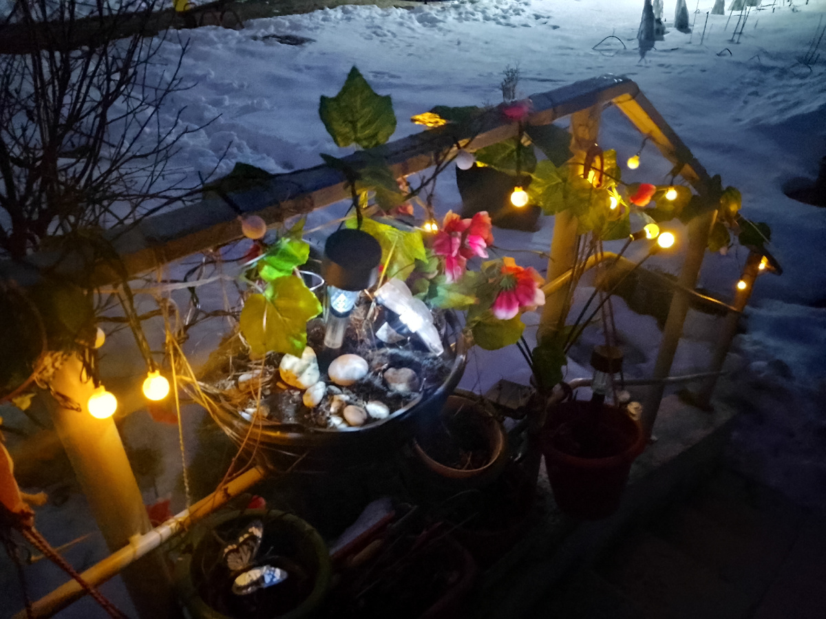 Фото автора, наше крылечко