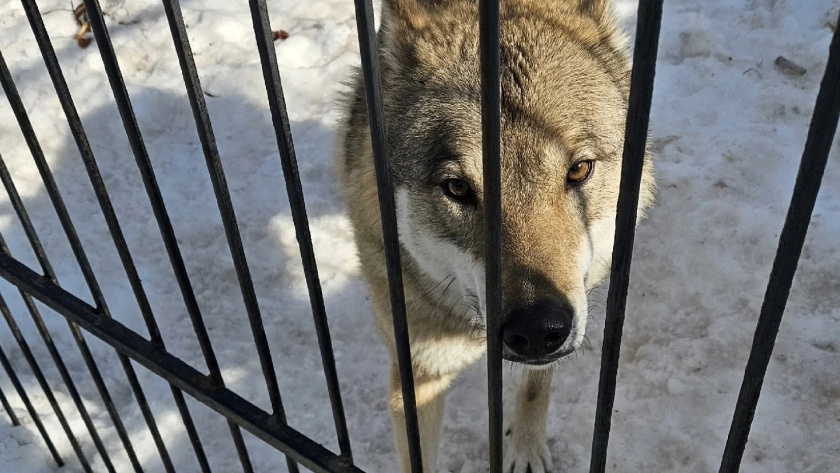    Фото сообщества "ZooПАРК"