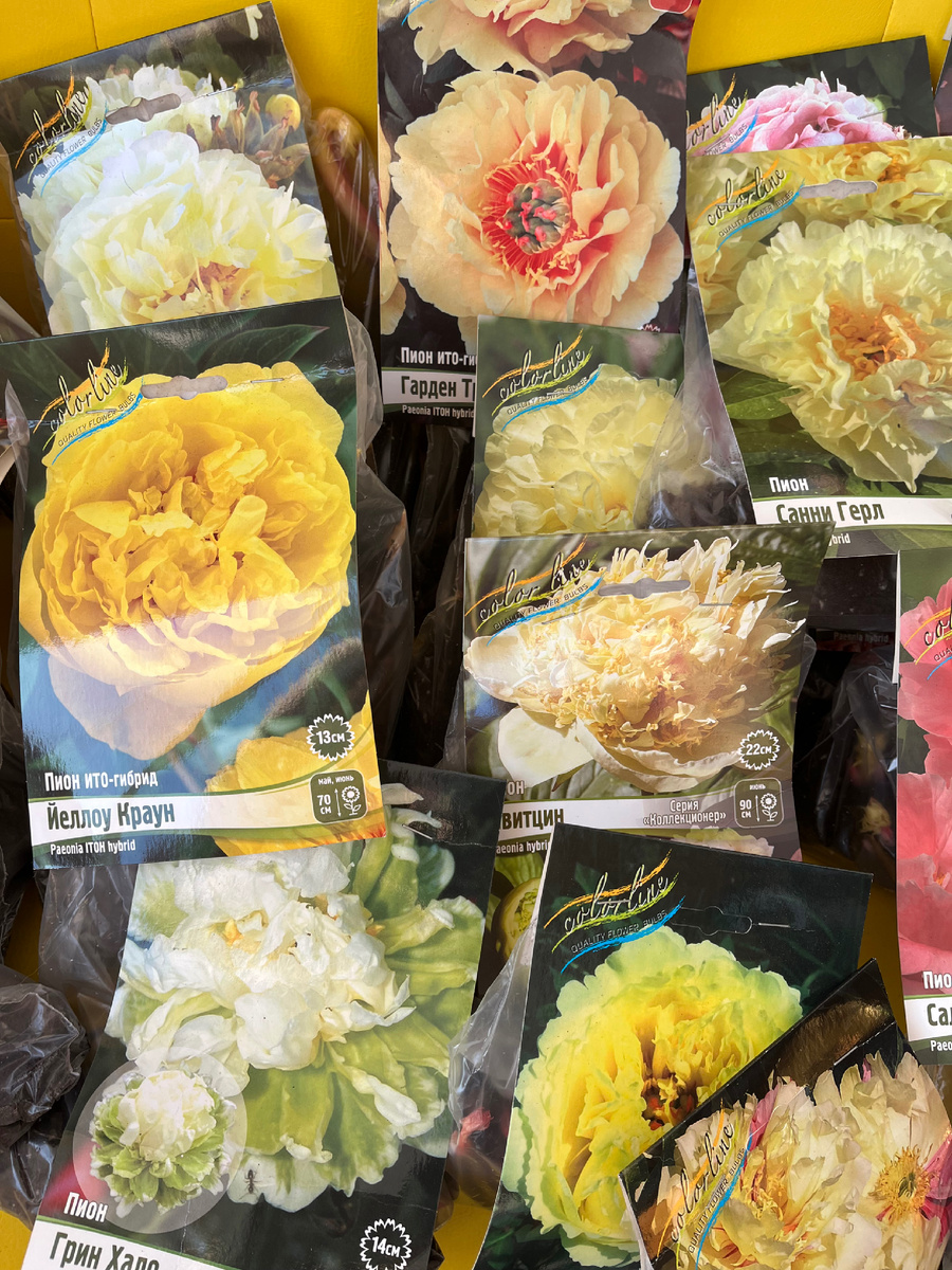 Пришедшие новинки для моего сада