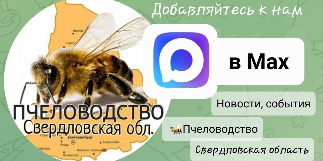 🔆 Наш канал в Мах