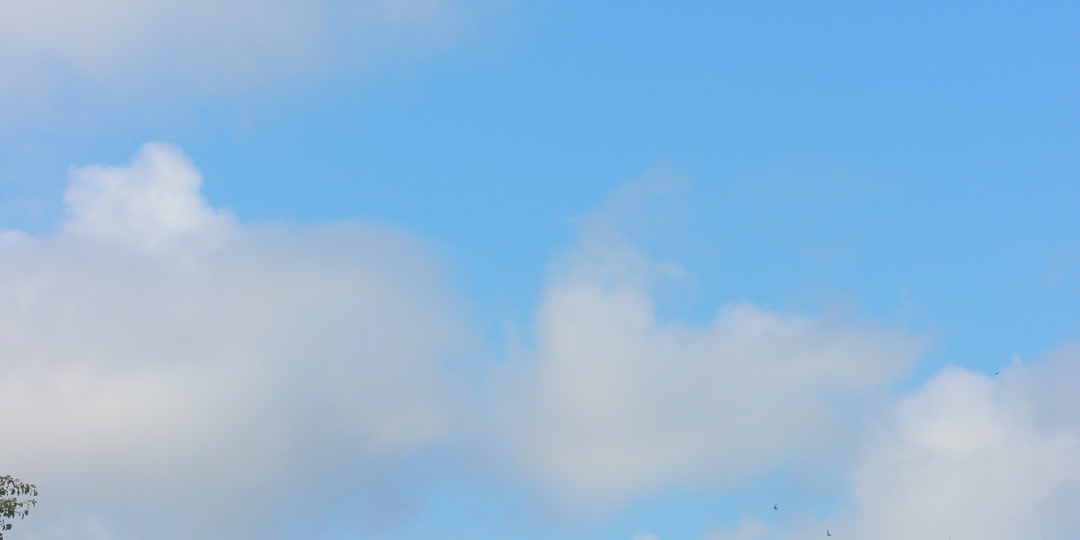 Муралы города Александровск-Сахалинский: обзор