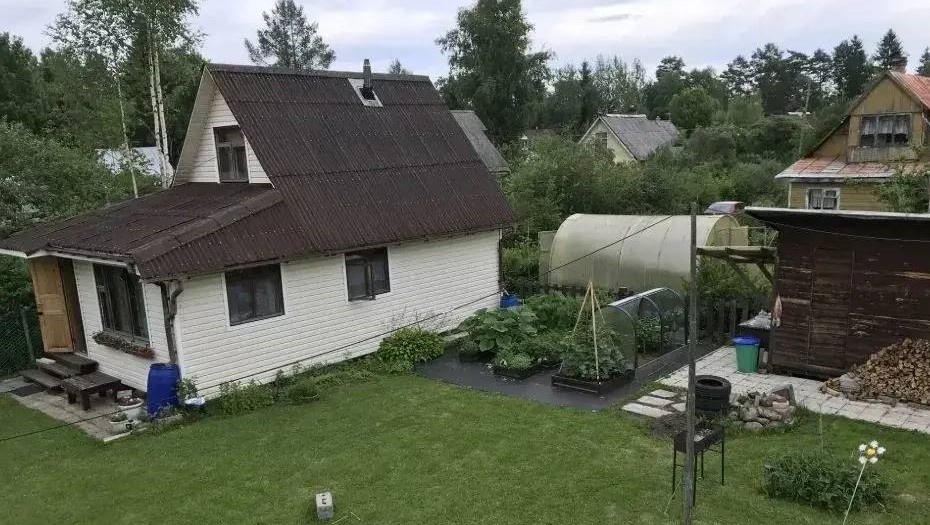    Автор фото: правительство Ленинградской области