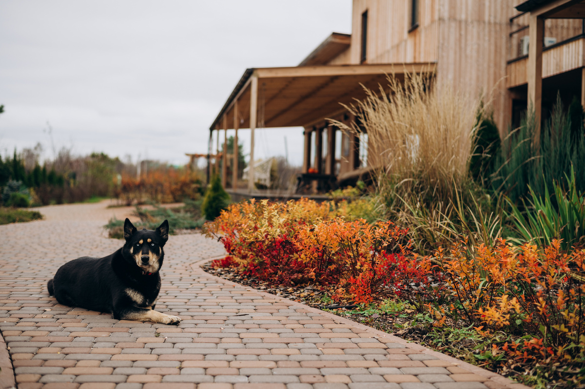 Зара ждет гостей в Шавасане