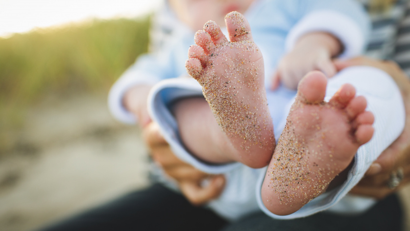    Фото: pxhere.com