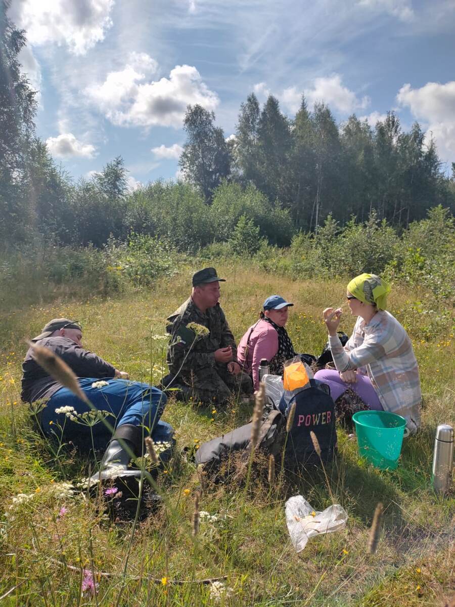 Друзья на привале. 