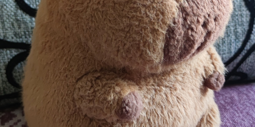 Как сделать из простой футболки люкс и разные спасённые вещи