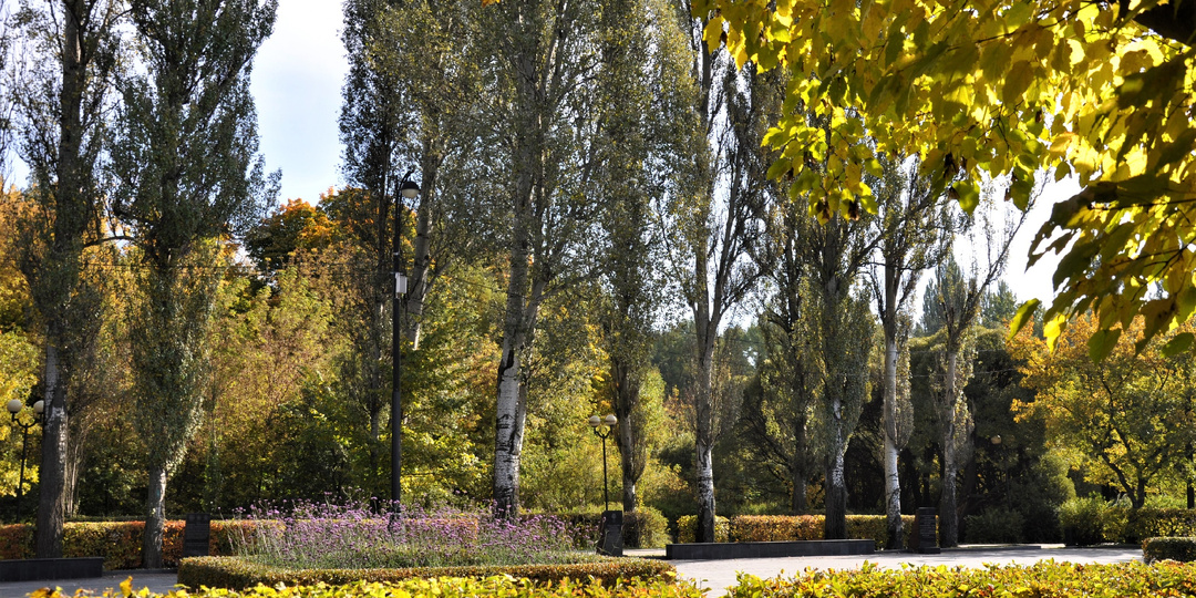 От Ахматовой до Каверина: Парки Москвы в биографиях и книгах писателей