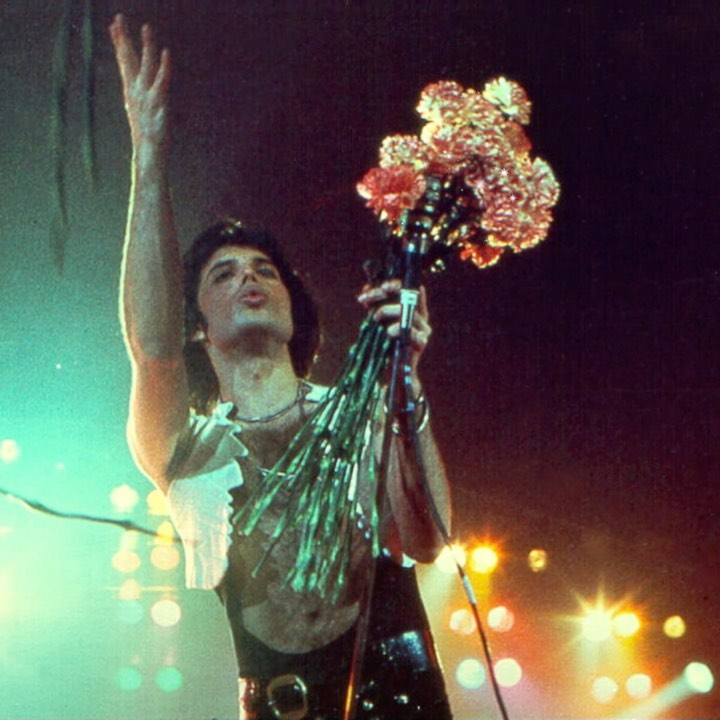 Фредди Меркьюри бросает цветы своим зрителям