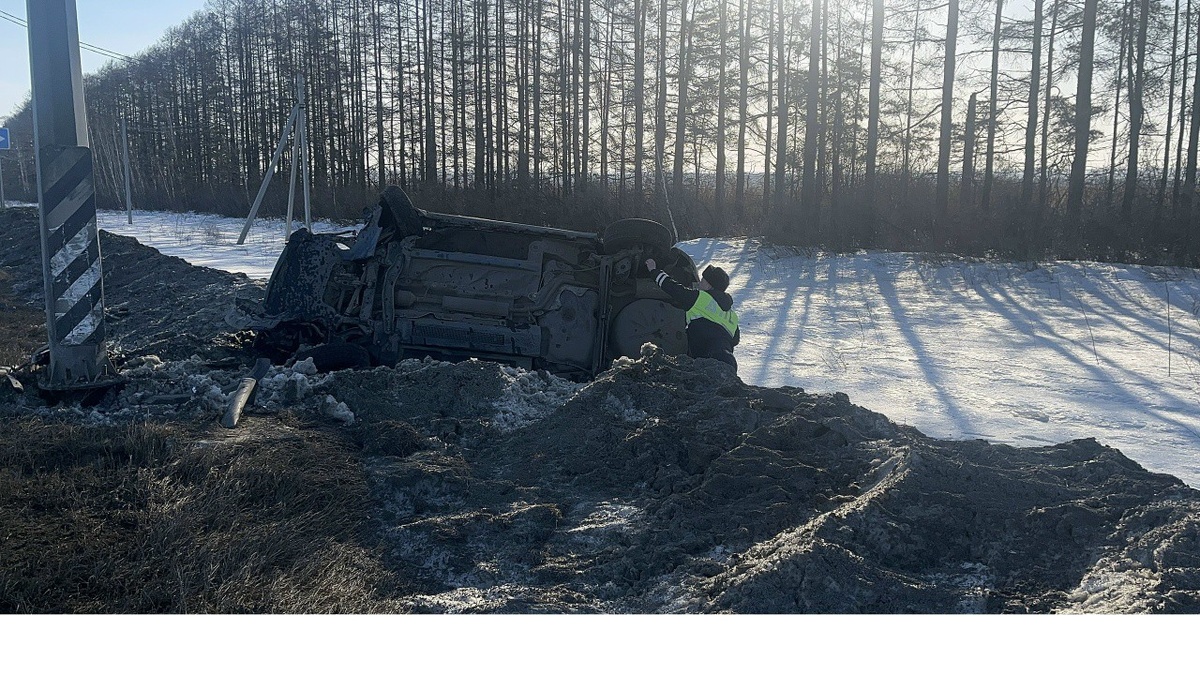     Фото: УГИБДД по Свердловской области