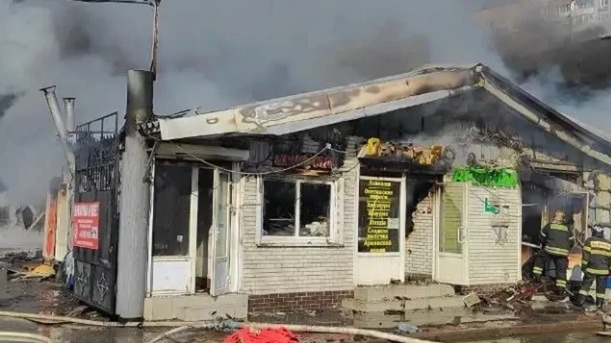    Фото: МЧС России по Московской области / MAX