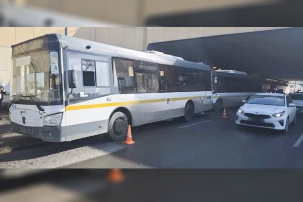    Фото: Прокуратура Москвы, источник t.me/moscowproc