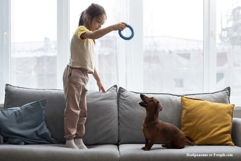 Наезд КамАЗа и разобранный кафель: застраховать жилье можно от разных рисков