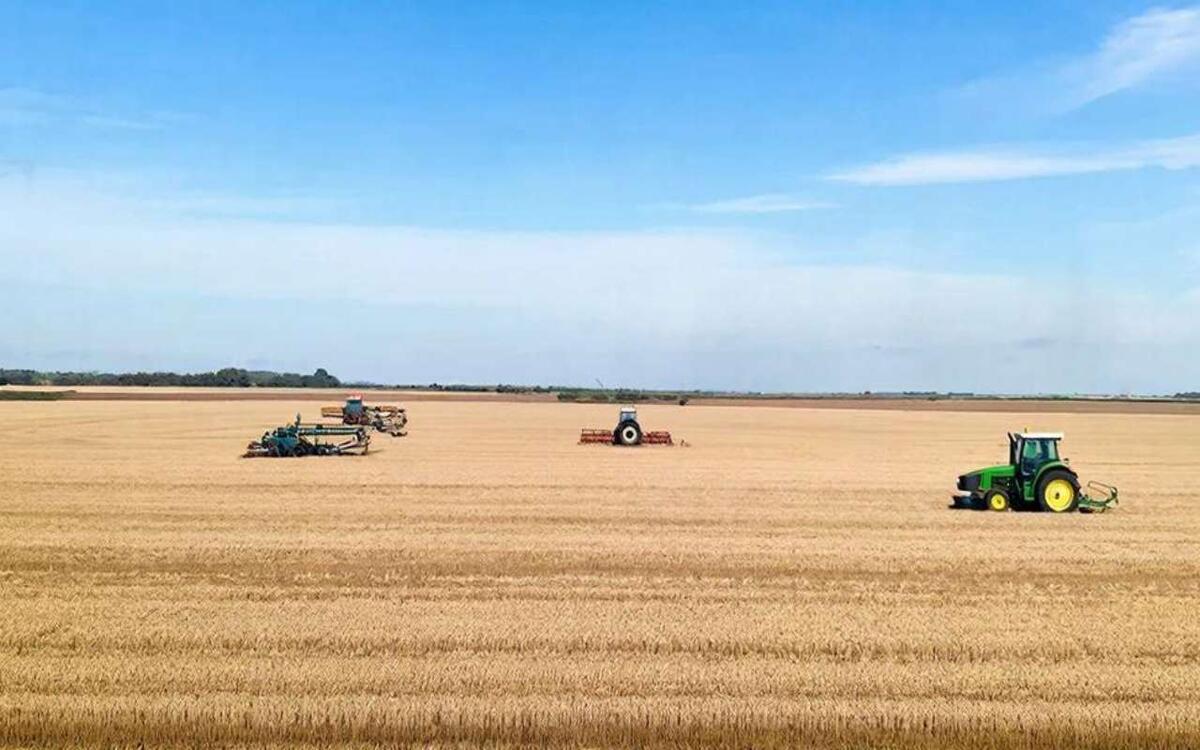    Белгородский химзавод «Белхимпродукт» с миллиардной выручкой подает признаки банкротства из‑за долга в 4 млн Фото – GigaChat