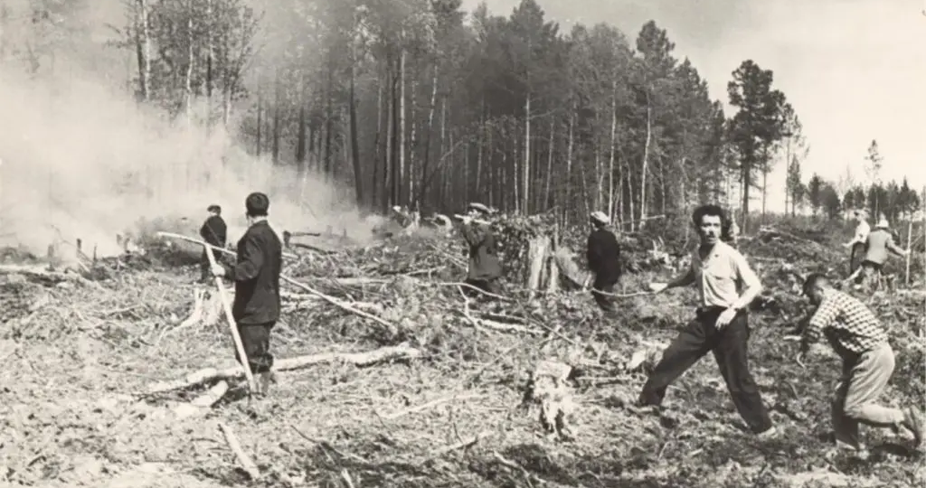 65 лет Мегионской нефти: Как забил первый фонтан?