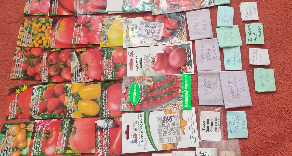 Разложила всё своё богатство 😁