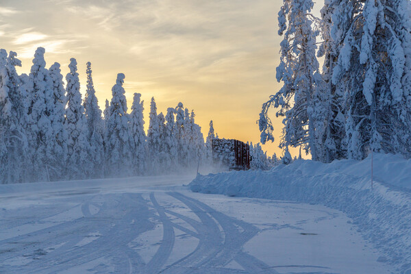 Amparo Garcia/Shutterstock/FOTODOM   📷