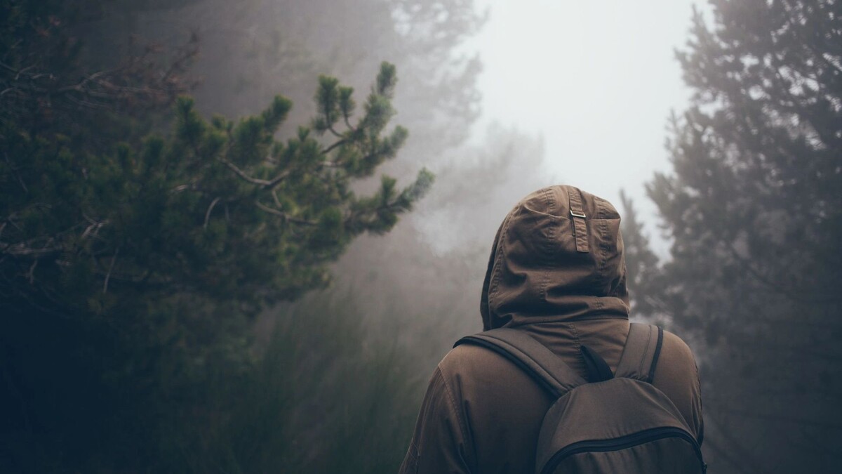    Фото: Veera/Shutterstock/Fotodom