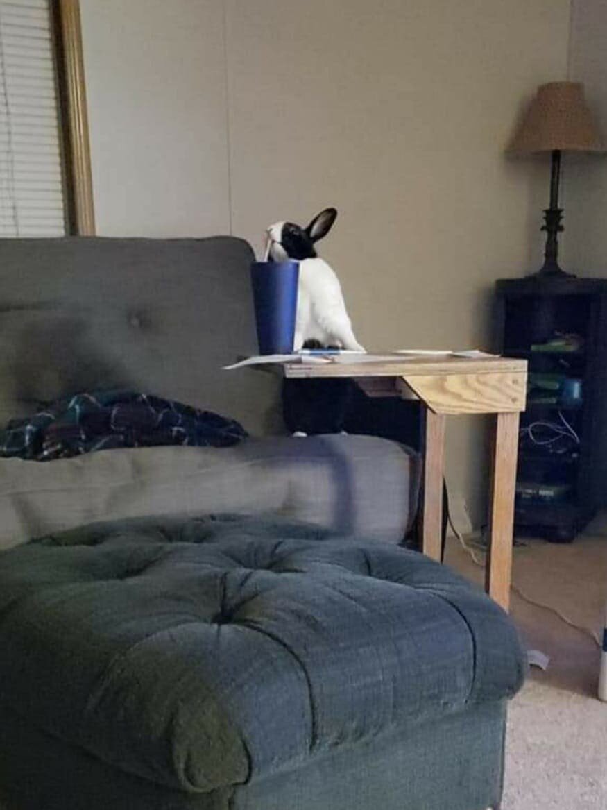    Heather Muneio-Smith