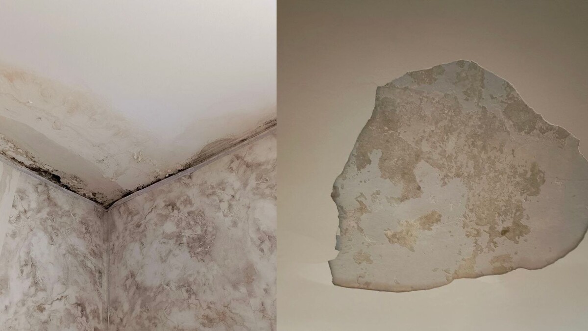   Черная плесень в детской комнате и след от обвала штукатурки в квартире Людмилы Мухановой / Источник: Елена Собкова © ИА Регнум