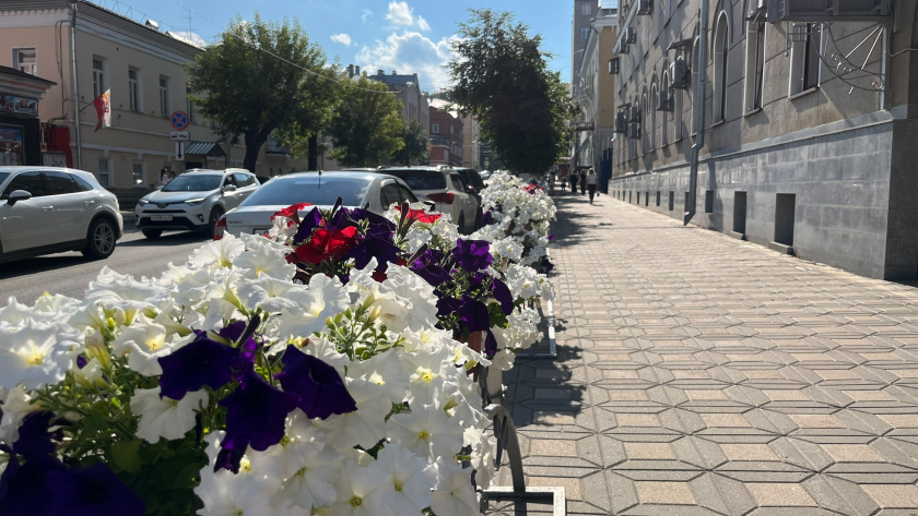    Фото: progorod43.ru