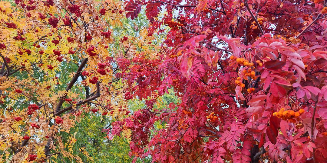 Отличница всегда и везде. Глава 19.