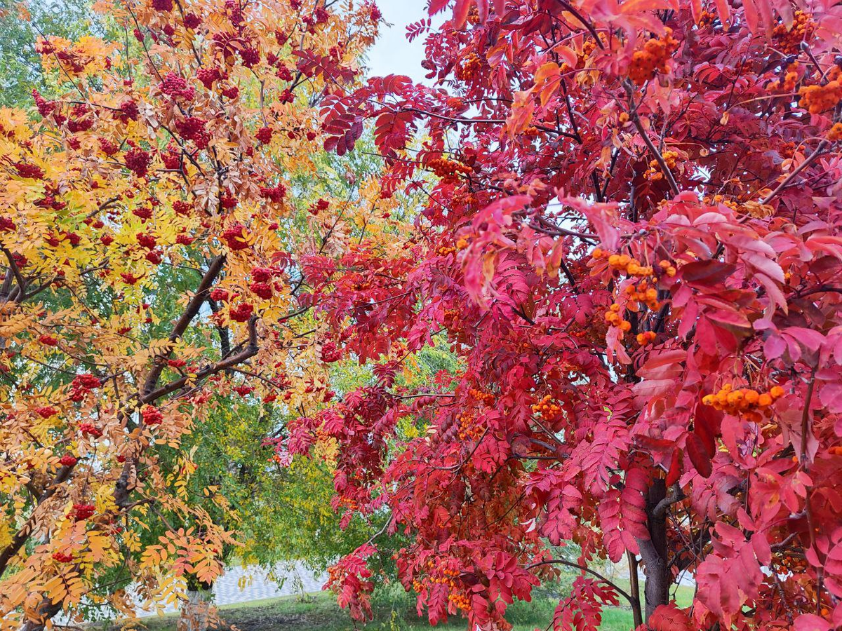 Фото автора.