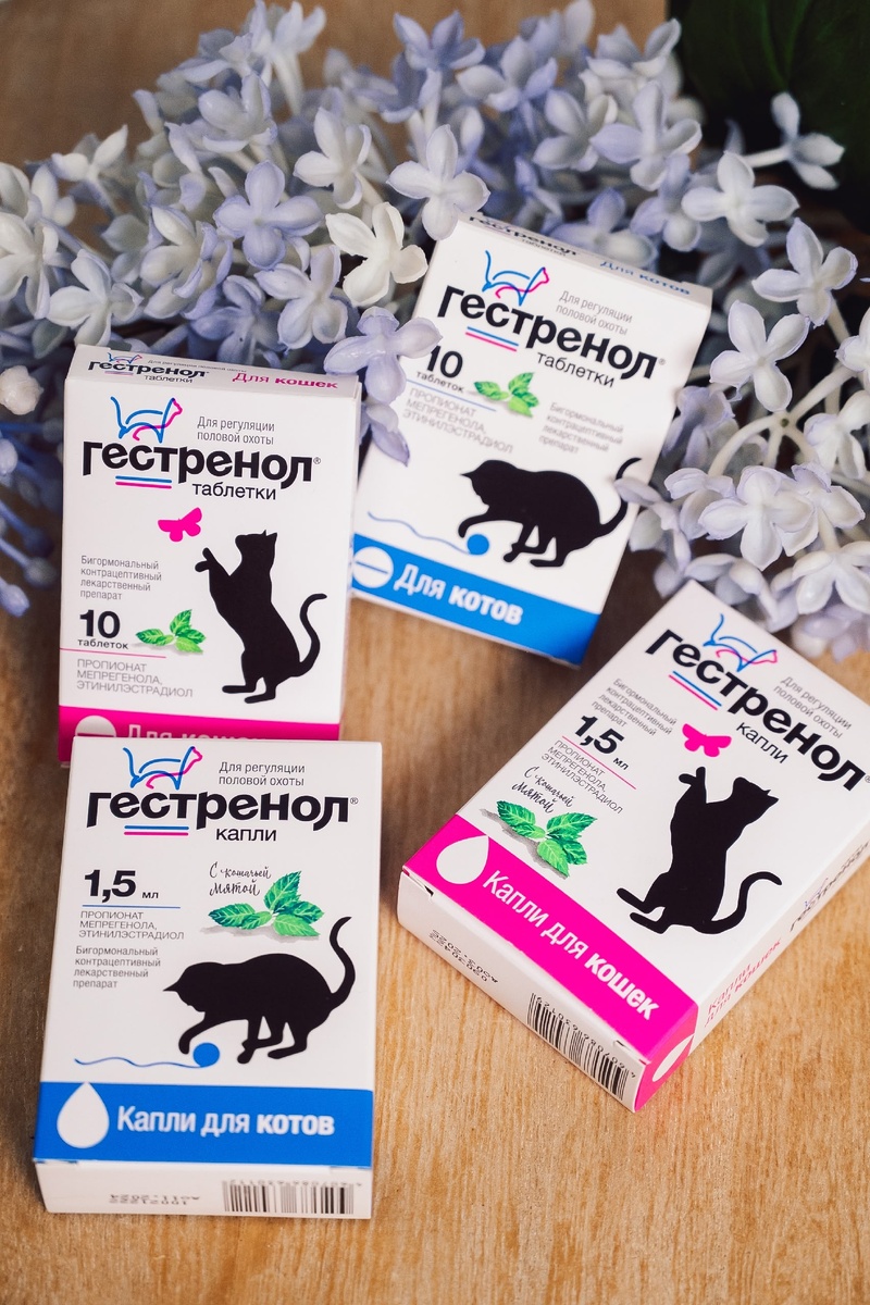 Гестренол разработан специально для кошек и котов