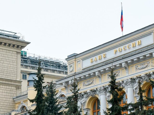    Фото: Москва 24/Никита Симонов