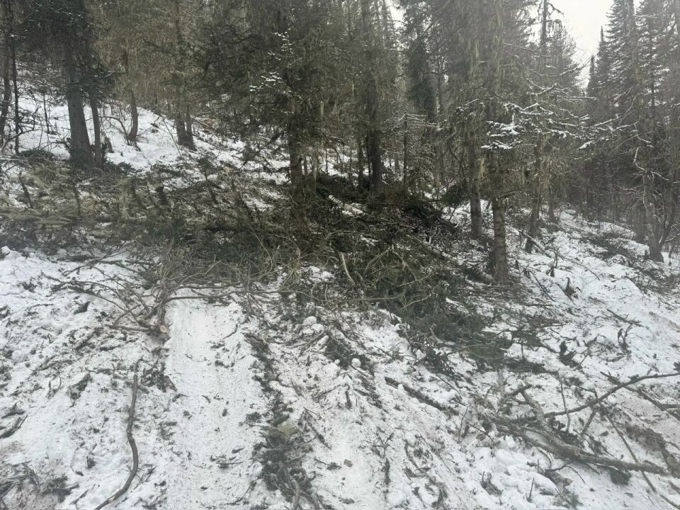    Патрулирование лесов Республики Алтай. Источник: Минприроды Республики Алтай