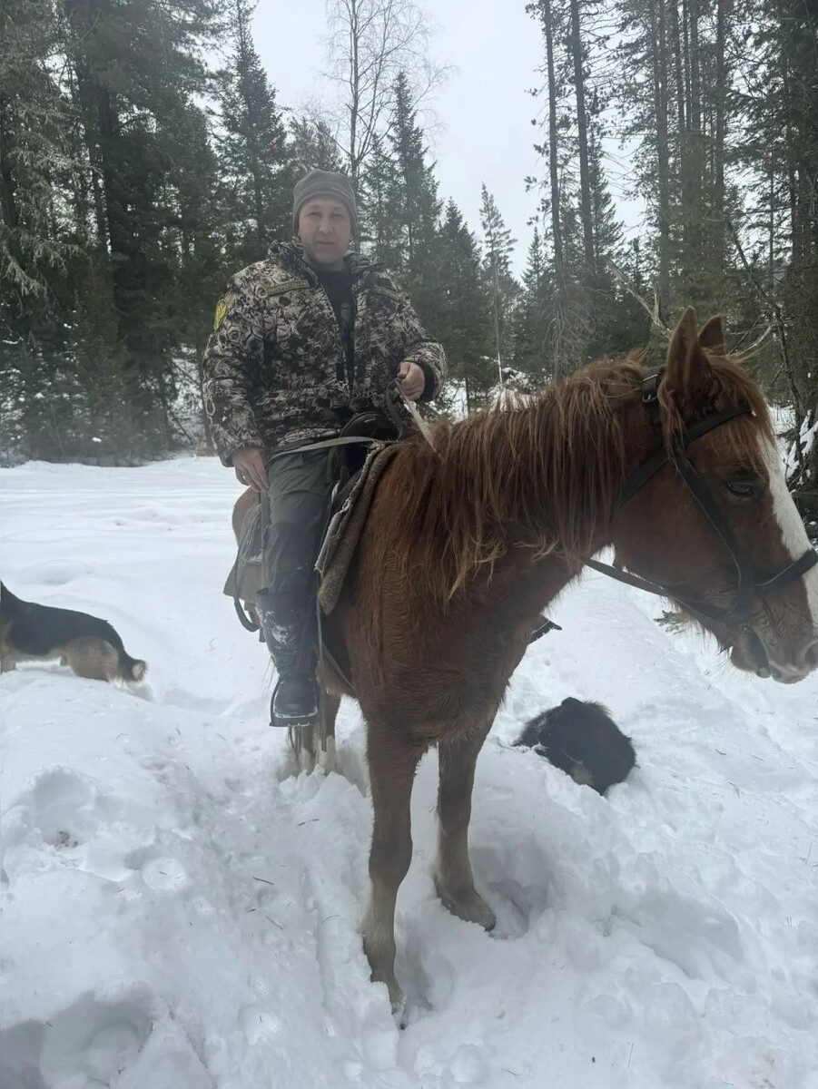    Патрулирование лесов Республики Алтай. Источник: Минприроды Республики Алтай