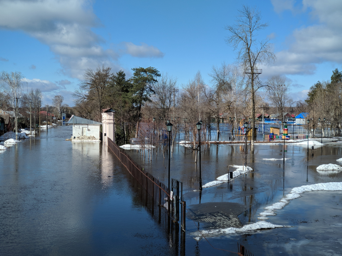 Вода в Городском парке и на улице Льва Толстого в районе Острова. Фото из личного архива, 13 марта 2023 года.
