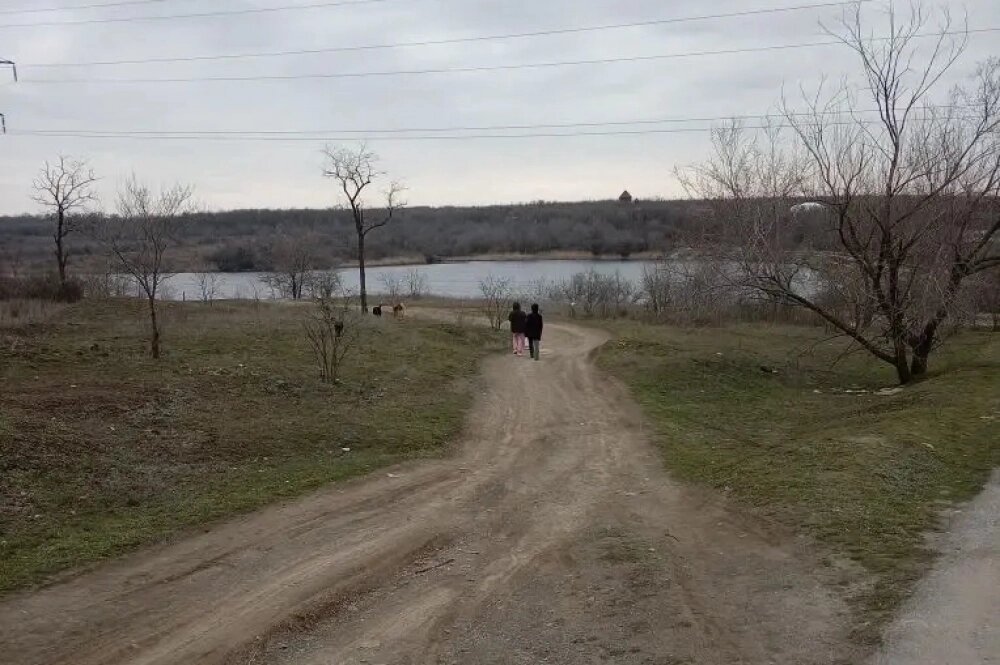    У водоёма в посёлке ХБК местные жители любят гулять. Фото: Rostov.aif.ru/ Елена Шашкова