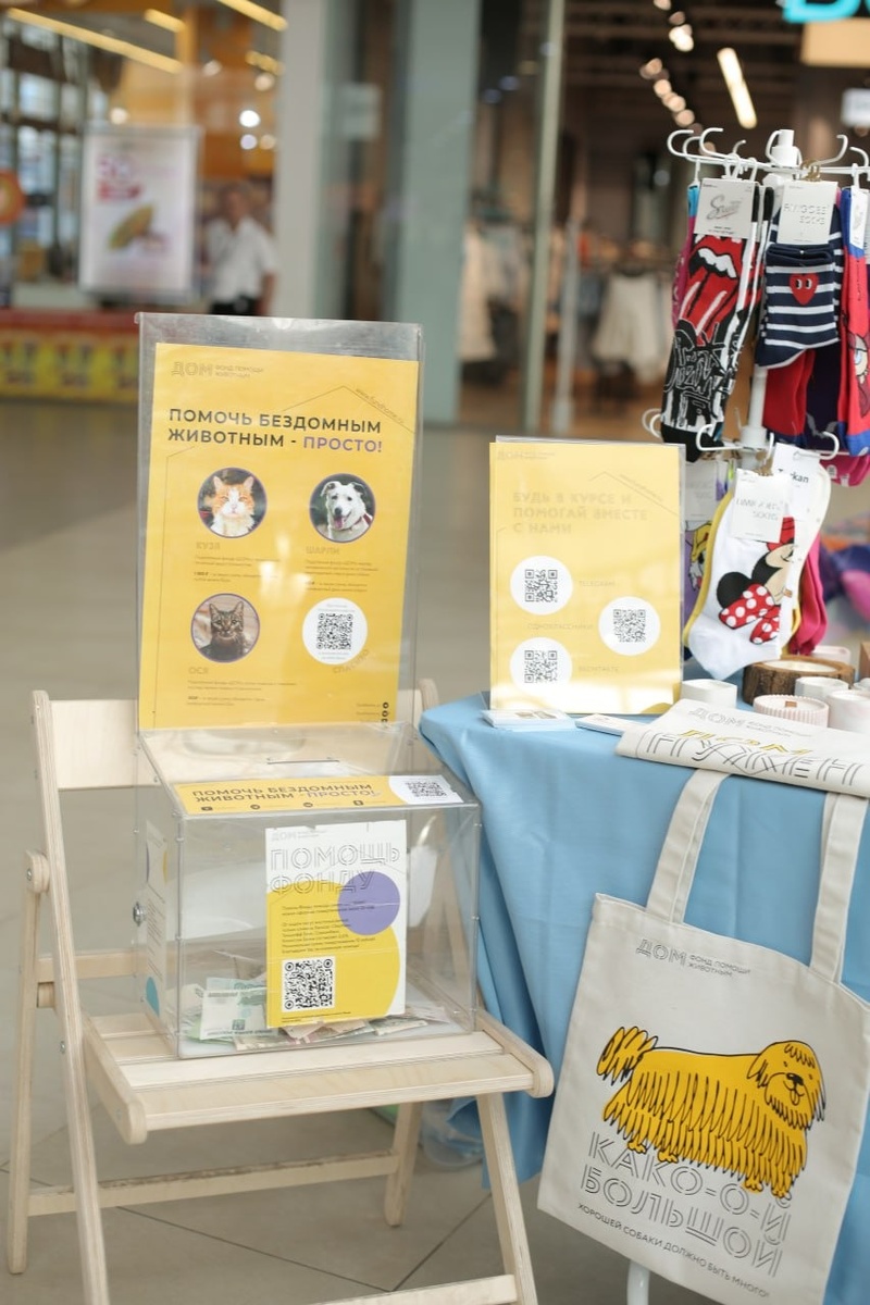 Кэшбокс на одном из прошлых мероприятий фонда