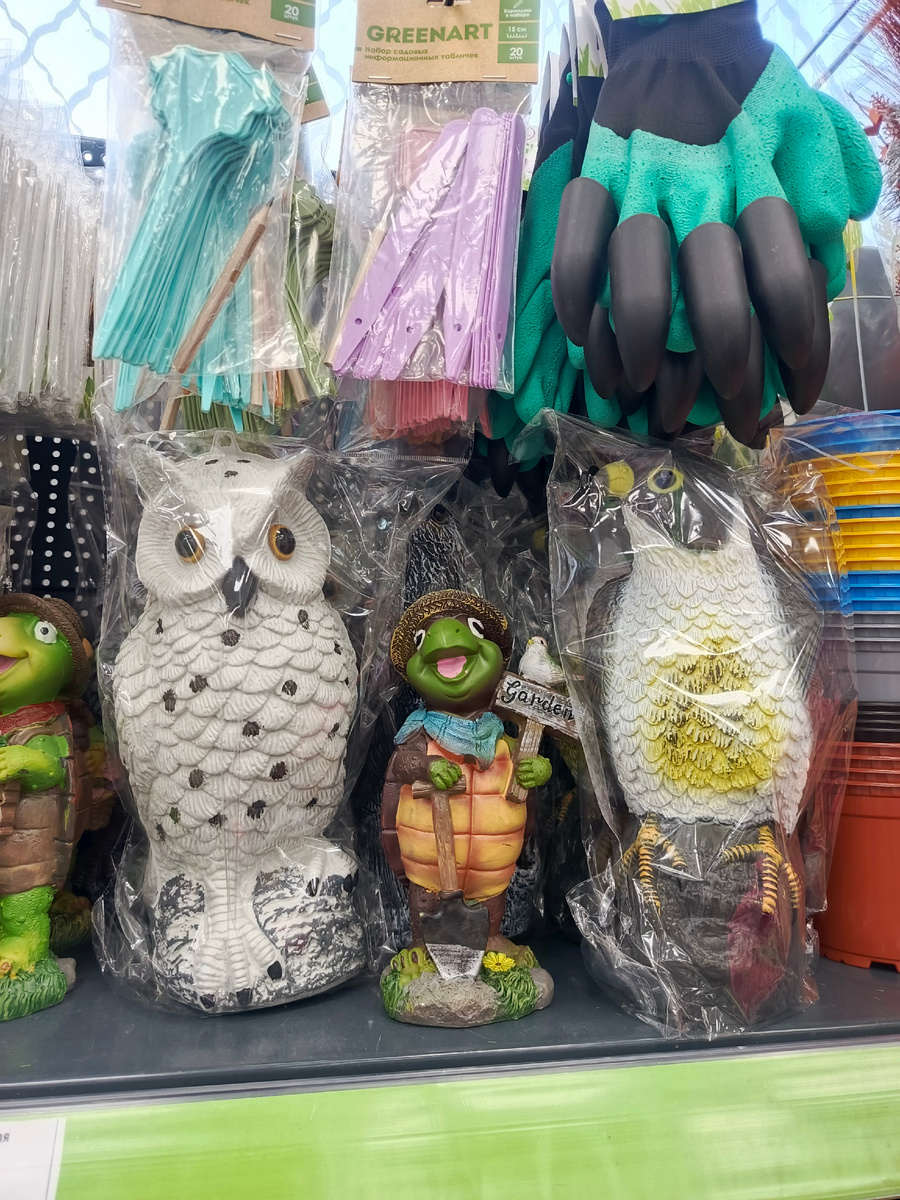 сова, а справа похож на орла