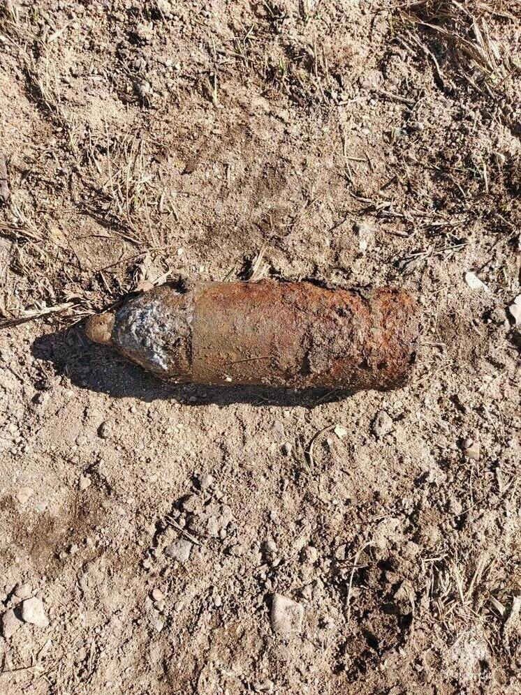 Под Ржевом обезвредили еще один «клад» Великой Отечественной войны