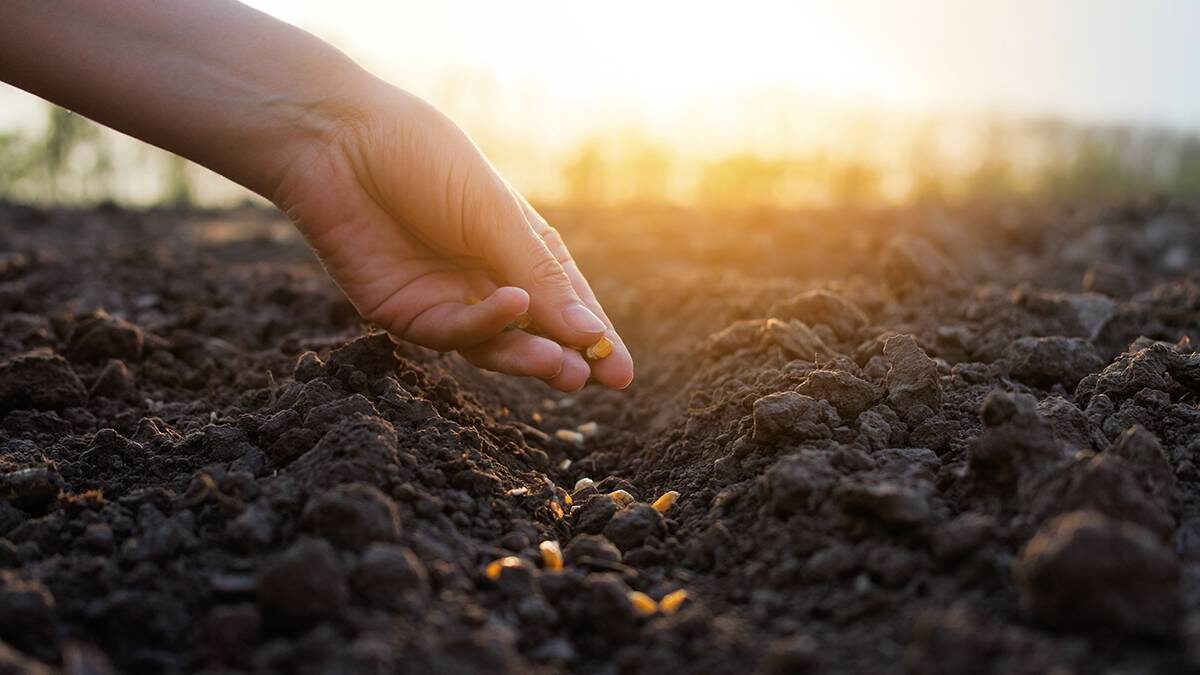    Фото: Shutterstock