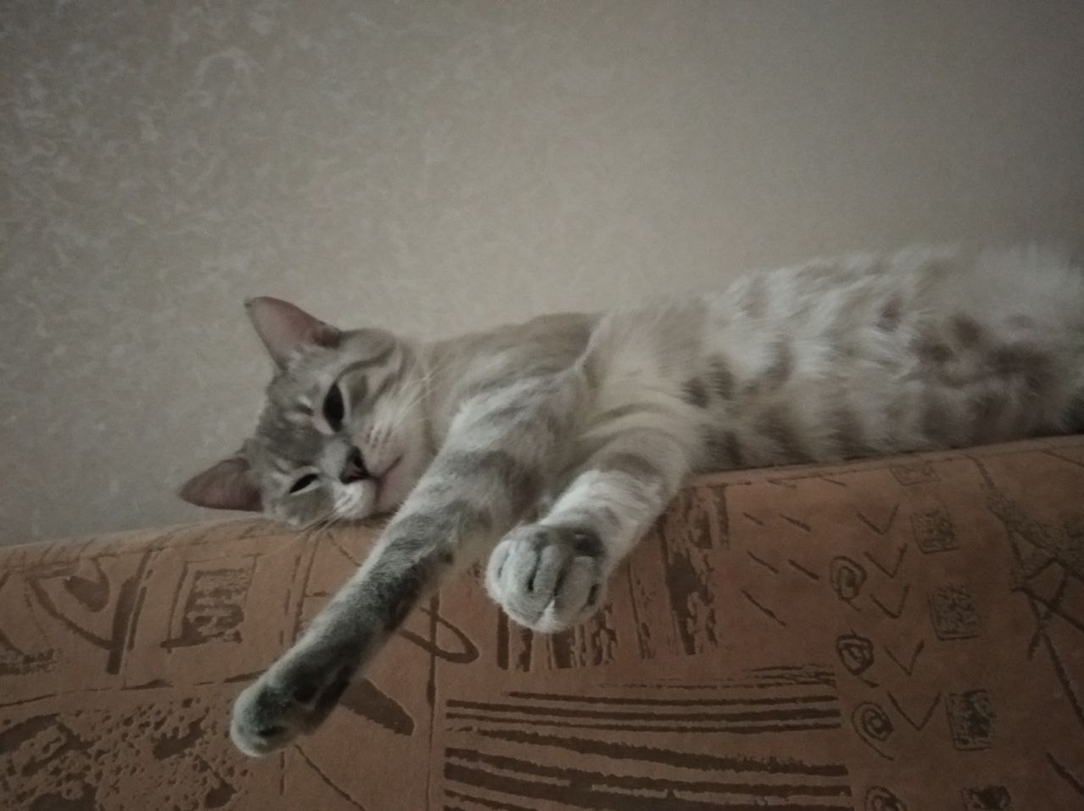 На моем диване между прочим