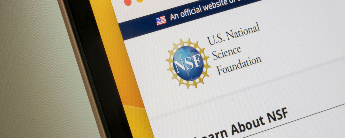 Источник изображения: Tada Images / Shutterstock / FOTODOM 